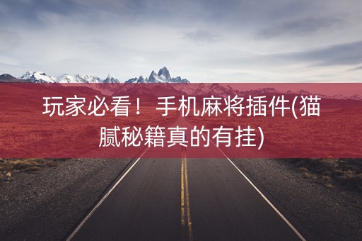 玩家必看！手机麻将插件(猫腻秘籍真的有挂)