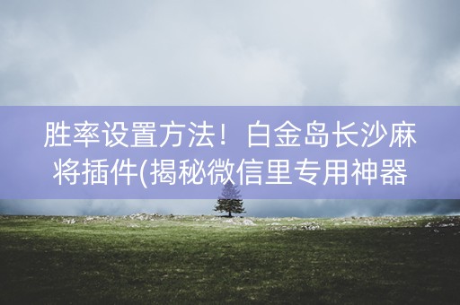 胜率设置方法！白金岛长沙麻将插件(揭秘微信里专用神器)