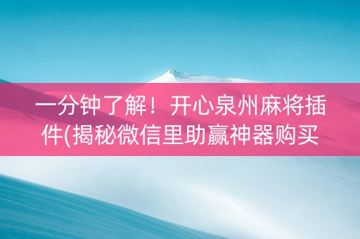 一分钟了解！开心泉州麻将插件(揭秘微信里助赢神器购买)