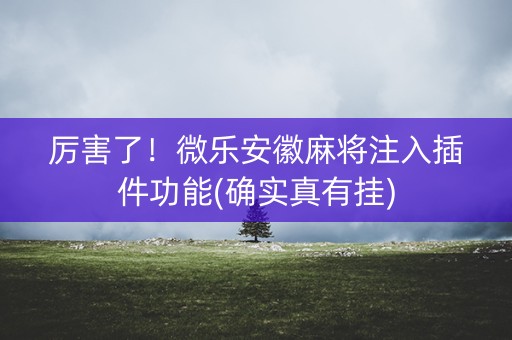 厉害了！微乐安徽麻将注入插件功能(确实真有挂)