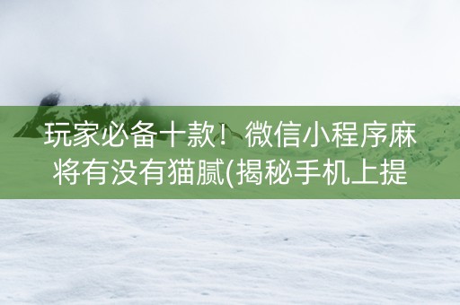 玩家必备十款！微信小程序麻将有没有猫腻(揭秘手机上提高胜率)