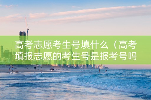 高考志愿考生号填什么（高考填报志愿的考生号是报考号吗?）
