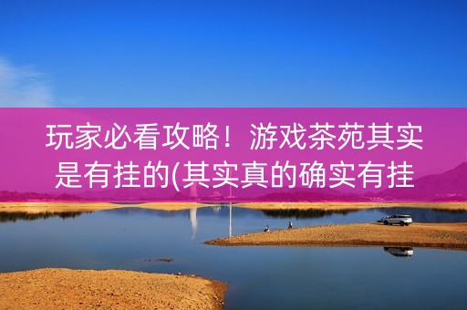 玩家必看攻略！游戏茶苑其实是有挂的(其实真的确实有挂)