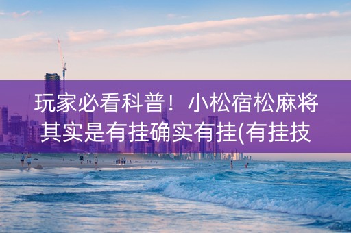 玩家必看科普！小松宿松麻将其实是有挂确实有挂(有挂技巧辅助器)