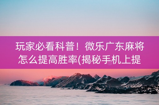 玩家必看科普！微乐广东麻将怎么提高胜率(揭秘手机上提高胜率)
