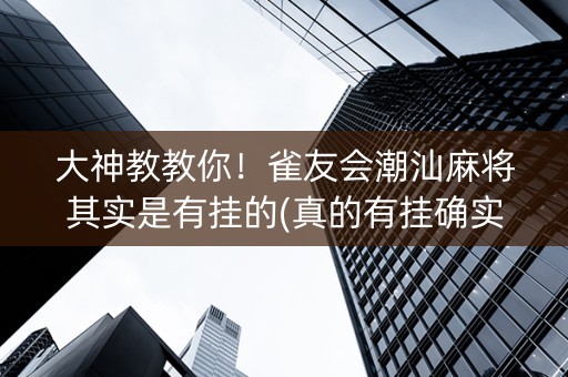 大神教教你！雀友会潮汕麻将其实是有挂的(真的有挂确实有挂)