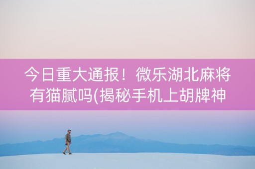 今日重大通报！微乐湖北麻将有猫腻吗(揭秘手机上胡牌神器)