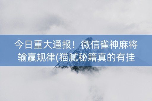 今日重大通报！微信雀神麻将输赢规律(猫腻秘籍真的有挂)