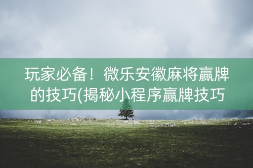 玩家必备！微乐安徽麻将赢牌的技巧(揭秘小程序赢牌技巧)
