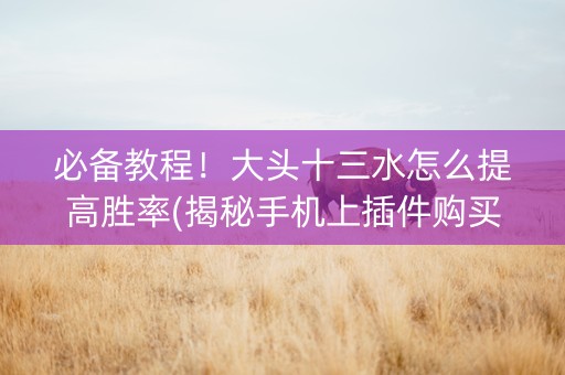 必备教程！大头十三水怎么提高胜率(揭秘手机上插件购买)