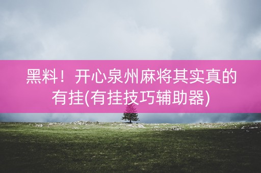 黑料！开心泉州麻将其实真的有挂(有挂技巧辅助器)