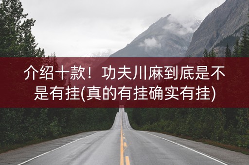 介绍十款！功夫川麻到底是不是有挂(真的有挂确实有挂)