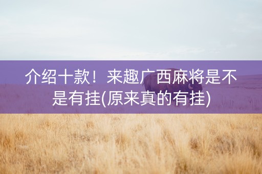介绍十款！来趣广西麻将是不是有挂(原来真的有挂)