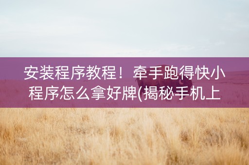 安装程序教程！牵手跑得快小程序怎么拿好牌(揭秘手机上自建房怎么赢)