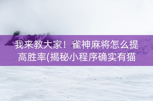 我来教大家！雀神麻将怎么提高胜率(揭秘小程序确实有猫腻)