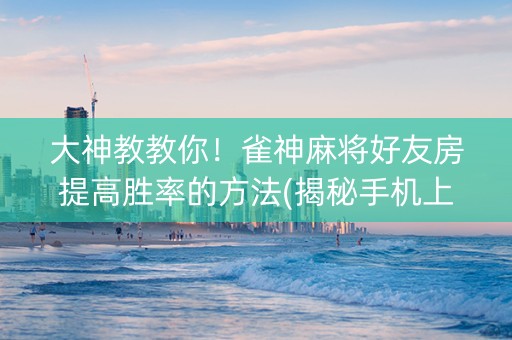 大神教教你！雀神麻将好友房提高胜率的方法(揭秘手机上胡牌技巧)