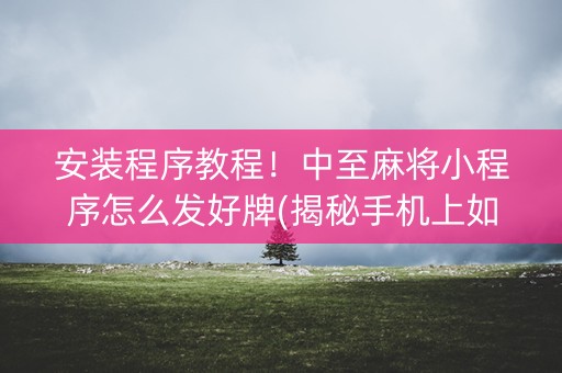 安装程序教程！中至麻将小程序怎么发好牌(揭秘手机上如何让牌变好)