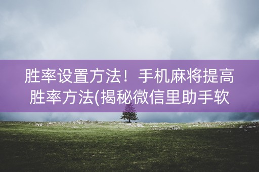 胜率设置方法！手机麻将提高胜率方法(揭秘微信里助手软件)
