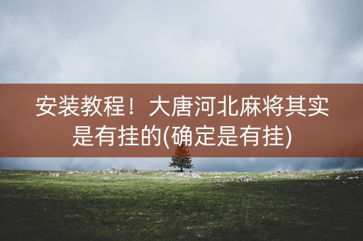安装教程！大唐河北麻将其实是有挂的(确定是有挂)