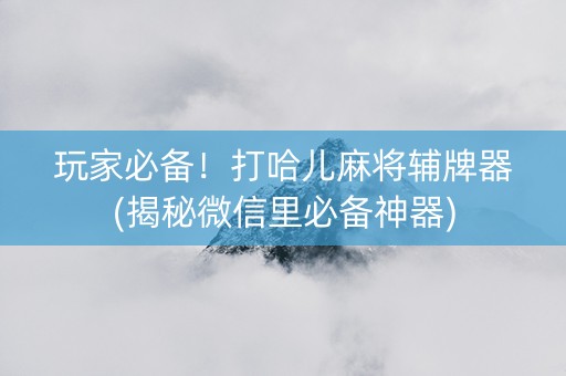 玩家必备！打哈儿麻将辅牌器(揭秘微信里必备神器)