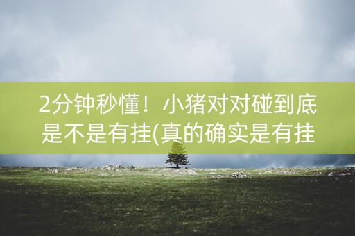 2分钟秒懂！小猪对对碰到底是不是有挂(真的确实是有挂)