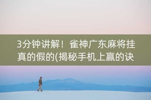 3分钟讲解！雀神广东麻将挂真的假的(揭秘手机上赢的诀窍)