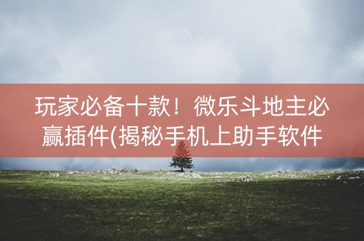 玩家必备十款！微乐斗地主必赢插件(揭秘手机上助手软件)