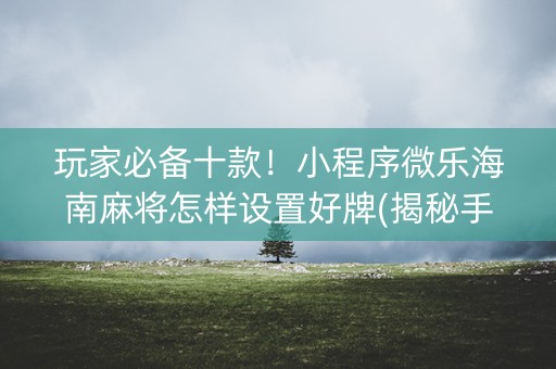 玩家必备十款！小程序微乐海南麻将怎样设置好牌(揭秘手机上提高胜率)