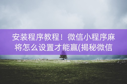 安装程序教程！微信小程序麻将怎么设置才能赢(揭秘微信里胡牌技巧)