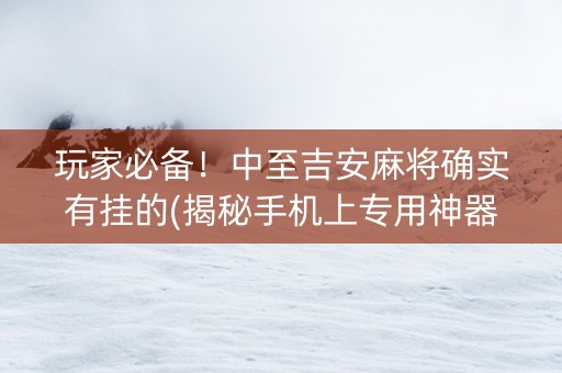 玩家必备！中至吉安麻将确实有挂的(揭秘手机上专用神器)