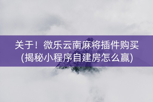 关于！微乐云南麻将插件购买(揭秘小程序自建房怎么赢)