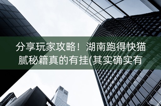 分享玩家攻略！湖南跑得快猫腻秘籍真的有挂(其实确实有挂)