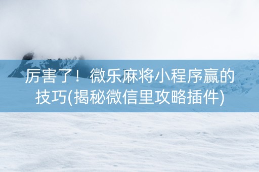 厉害了！微乐麻将小程序赢的技巧(揭秘微信里攻略插件)