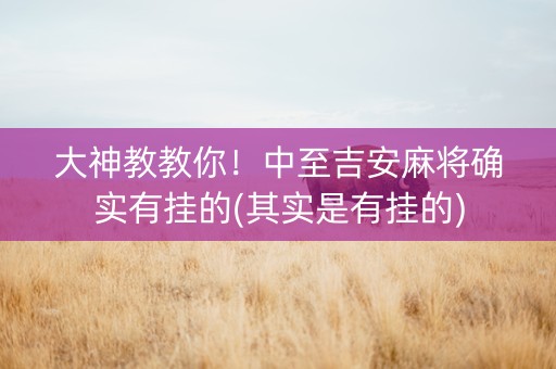 大神教教你！中至吉安麻将确实有挂的(其实是有挂的)