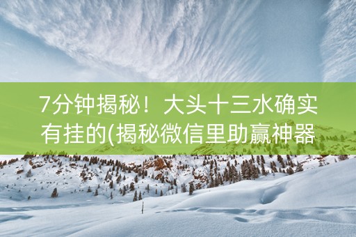 7分钟揭秘！大头十三水确实有挂的(揭秘微信里助赢神器购买)