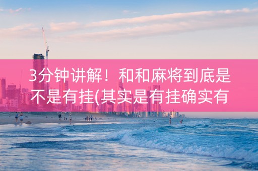 3分钟讲解！和和麻将到底是不是有挂(其实是有挂确实有挂)