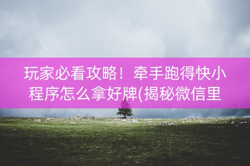 玩家必看攻略！牵手跑得快小程序怎么拿好牌(揭秘微信里提高赢的概率)