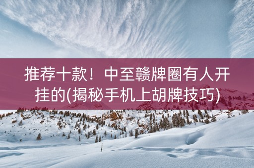 推荐十款！中至赣牌圈有人开挂的(揭秘手机上胡牌技巧)