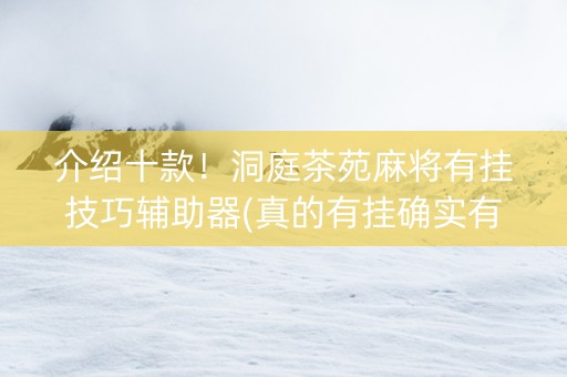 介绍十款！洞庭茶苑麻将有挂技巧辅助器(真的有挂确实有挂)