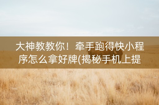 大神教教你！牵手跑得快小程序怎么拿好牌(揭秘手机上提高胜率)