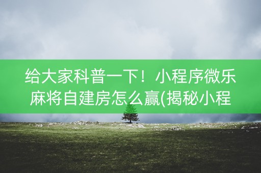 给大家科普一下！小程序微乐麻将自建房怎么赢(揭秘小程序确实有猫腻)