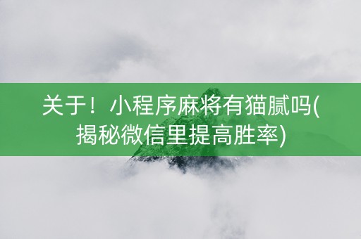 关于！小程序麻将有猫腻吗(揭秘微信里提高胜率)