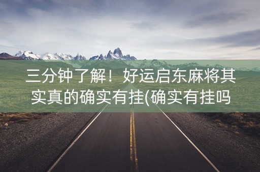 三分钟了解！好运启东麻将其实真的确实有挂(确实有挂吗)
