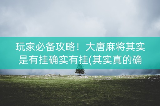 玩家必备攻略！大唐麻将其实是有挂确实有挂(其实真的确实有挂)