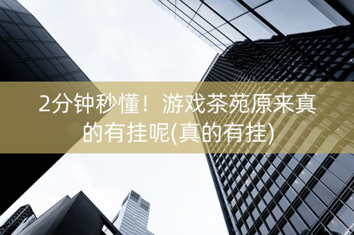 2分钟秒懂！游戏茶苑原来真的有挂呢(真的有挂)