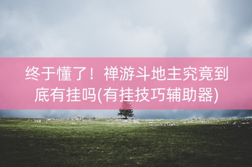 终于懂了！禅游斗地主究竟到底有挂吗(有挂技巧辅助器)