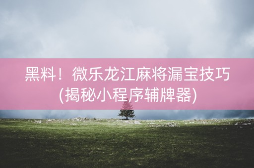 黑料！微乐龙江麻将漏宝技巧(揭秘小程序辅牌器)