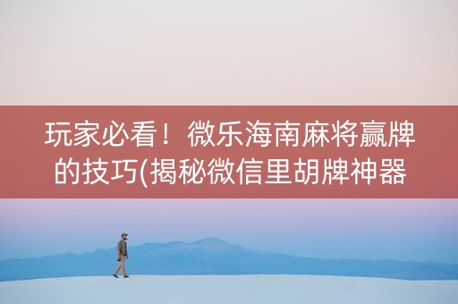 玩家必看！微乐海南麻将赢牌的技巧(揭秘微信里胡牌神器)