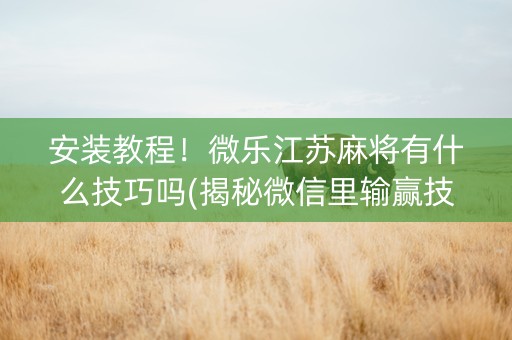 安装教程！微乐江苏麻将有什么技巧吗(揭秘微信里输赢技巧)