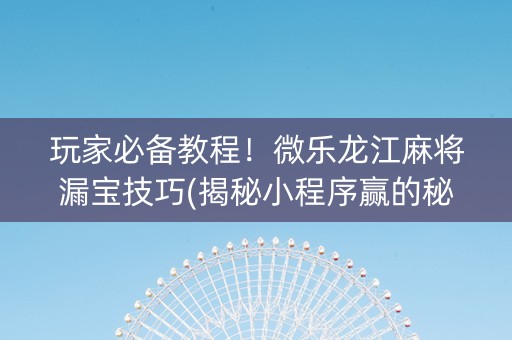 玩家必备教程！微乐龙江麻将漏宝技巧(揭秘小程序赢的秘诀)